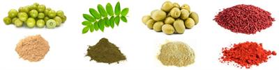 The antihyperlipidemic effect of a combined supplement of standardized dry extracts of amla (Emblica officinalis), walnut (Juglans regia), olive (Olea europaea) and red yeast rice (Monascus purpureus) powder: Reduction in circulatory low-density lipoprotein-cholesterol (LDL-C) and remnant cholesterol (RC) levels in patients with hypercholesterolemia